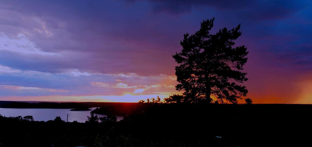 Säljarens egna bild