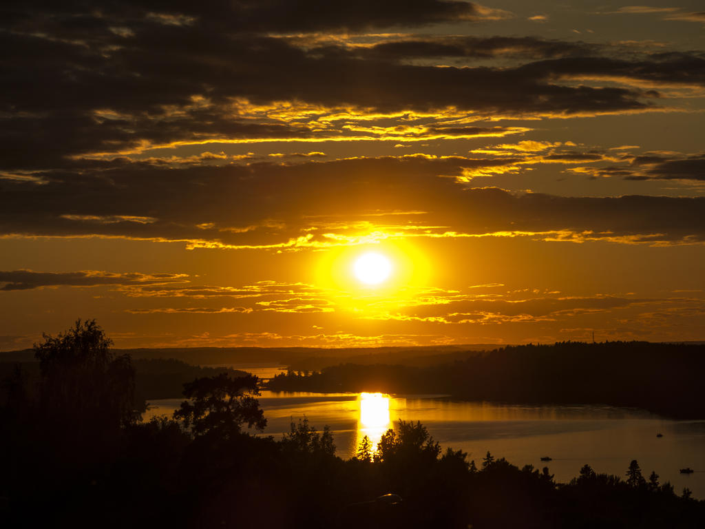 Säljarens egna bild