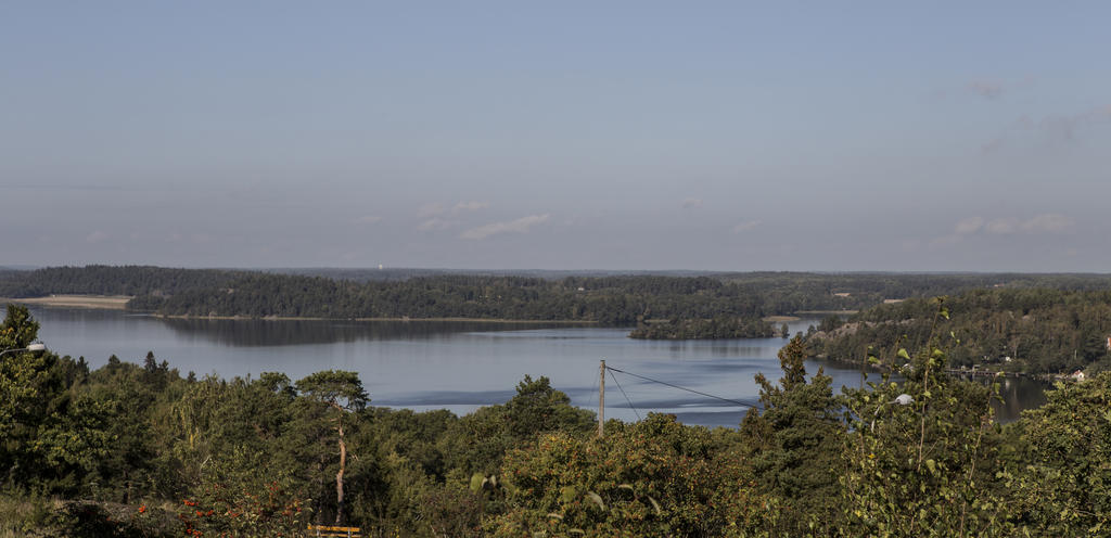 Säljarens egna bild