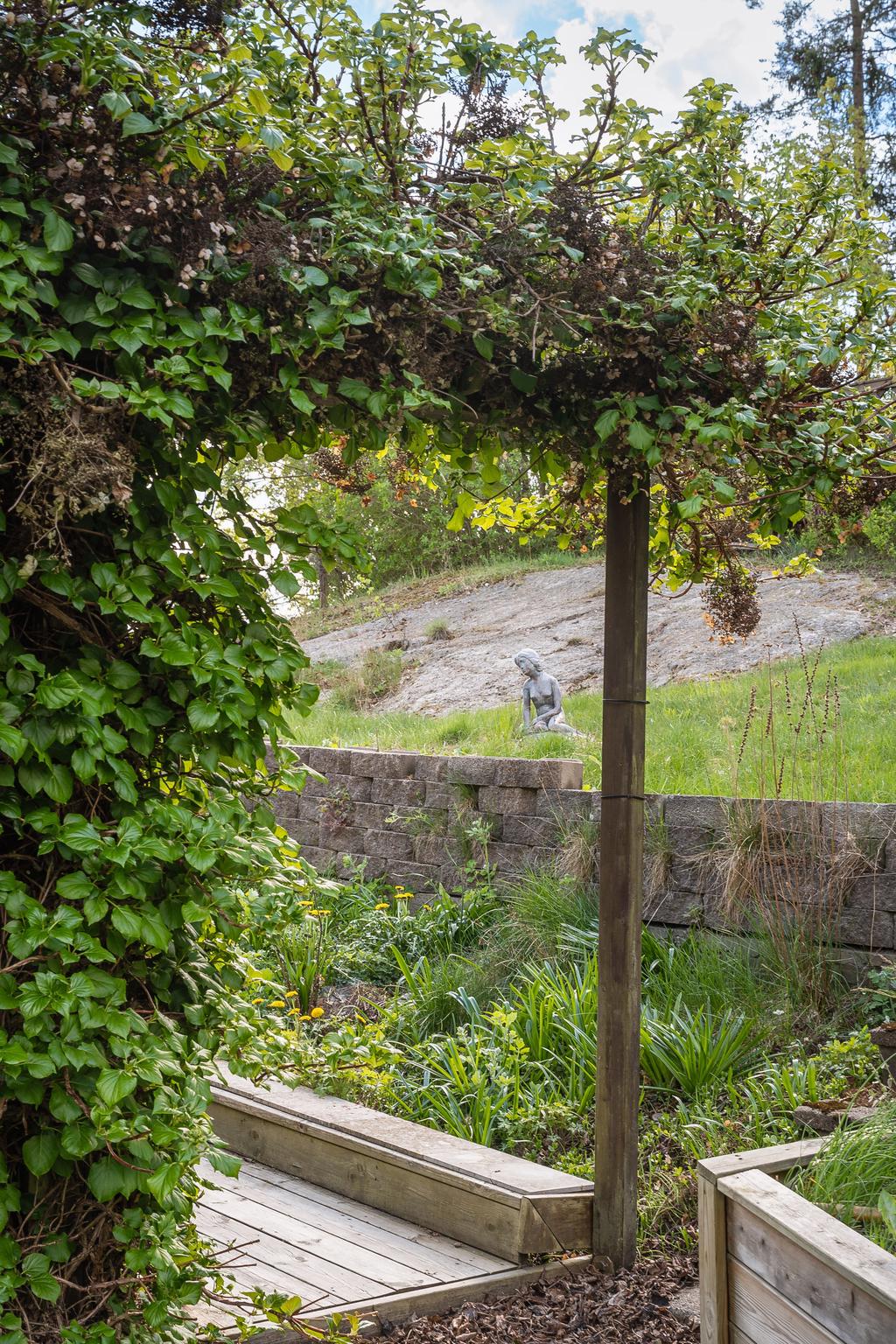 Grönskande trädgård. 