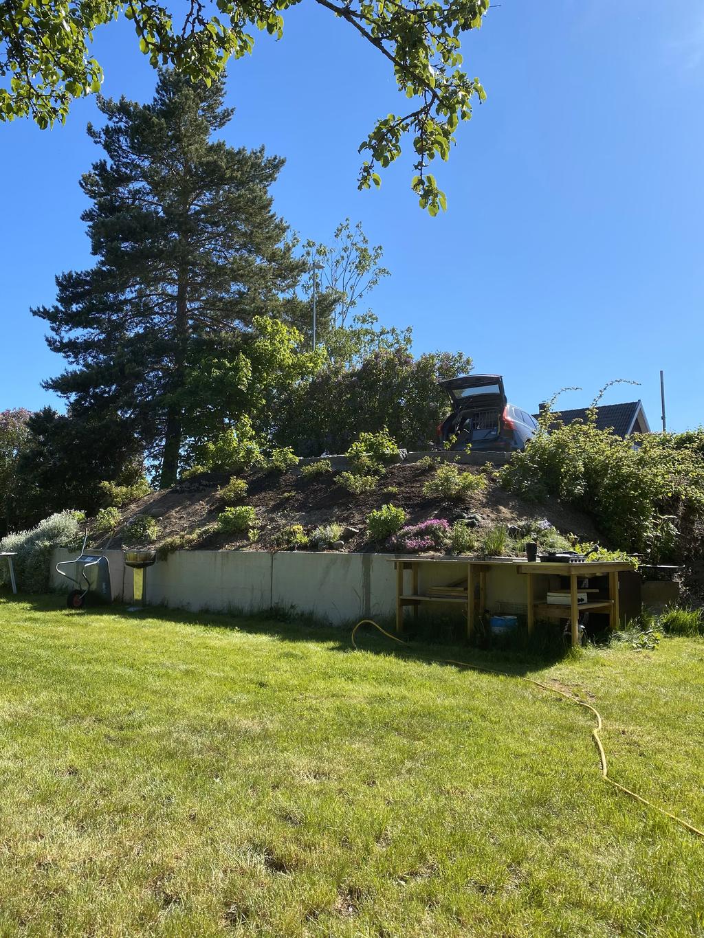 Trädgård