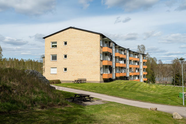 Baksida huset