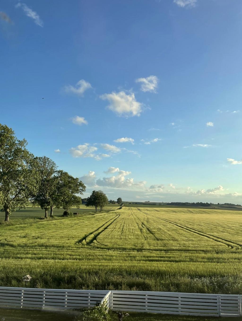 Vy över vidderna från baksidans uteplats