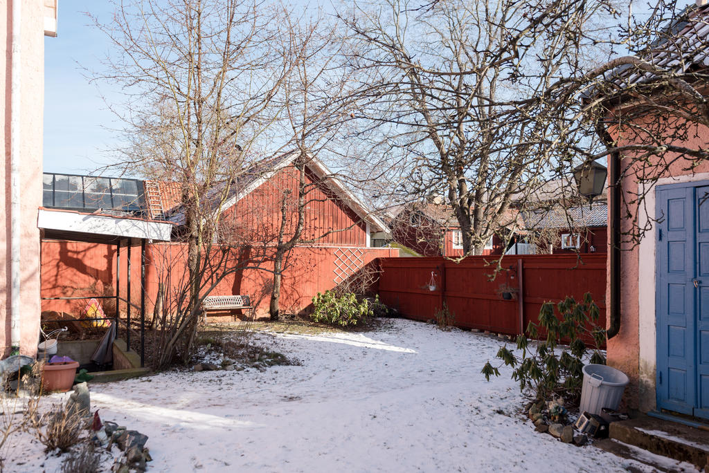 Trädgård. 