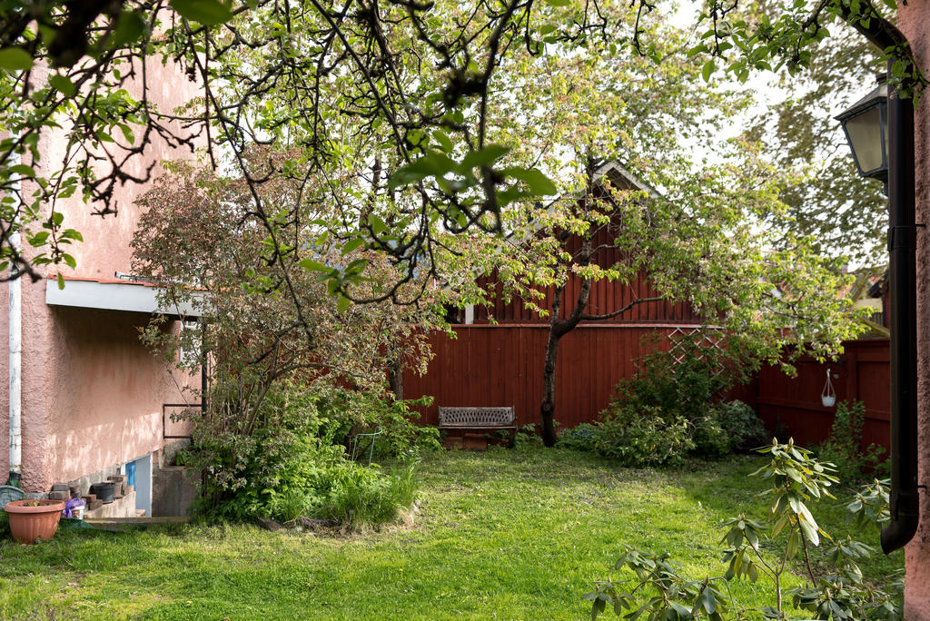 Trädgården.
