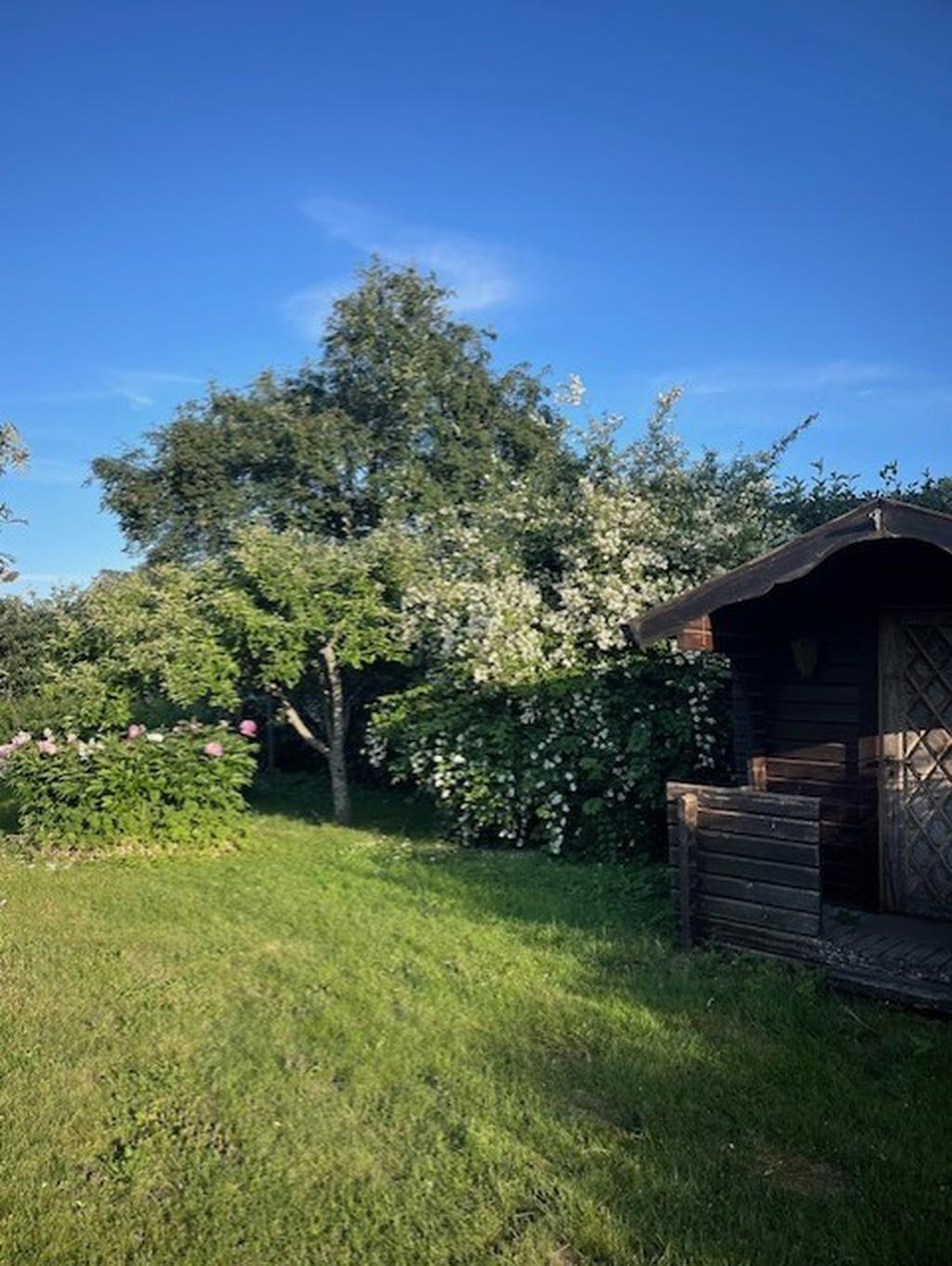 Säljarens egna bild