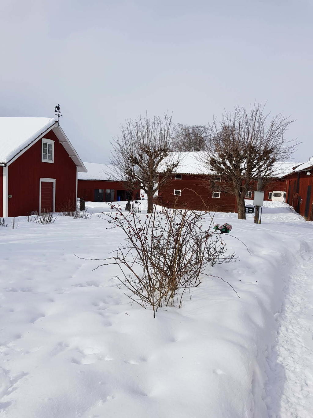 Gårdsplan