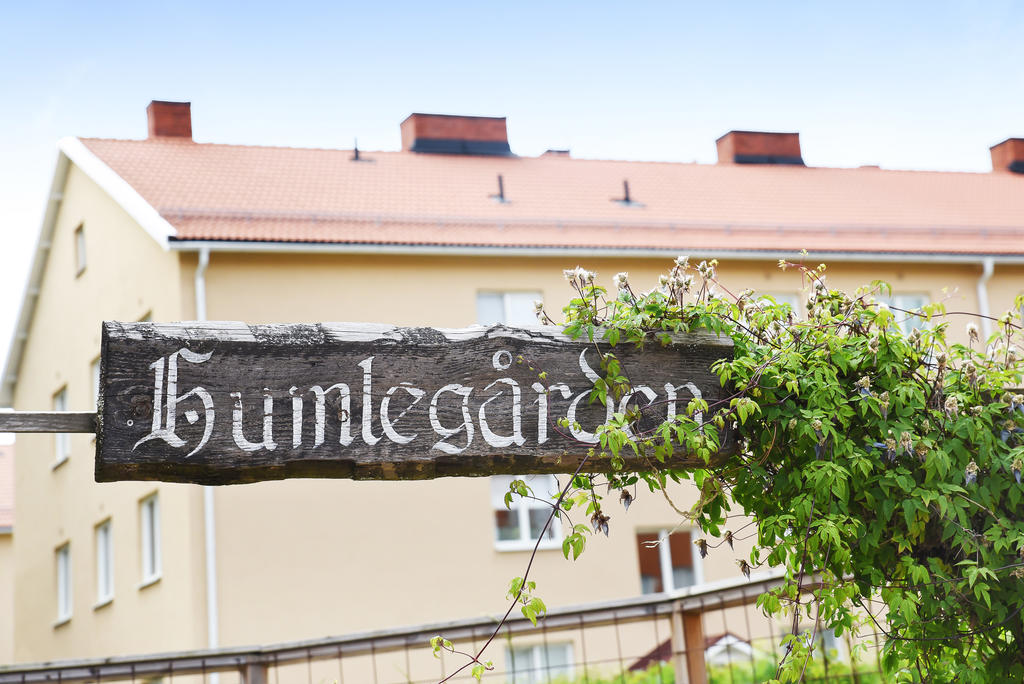 Föreningens innergård - Uteplats