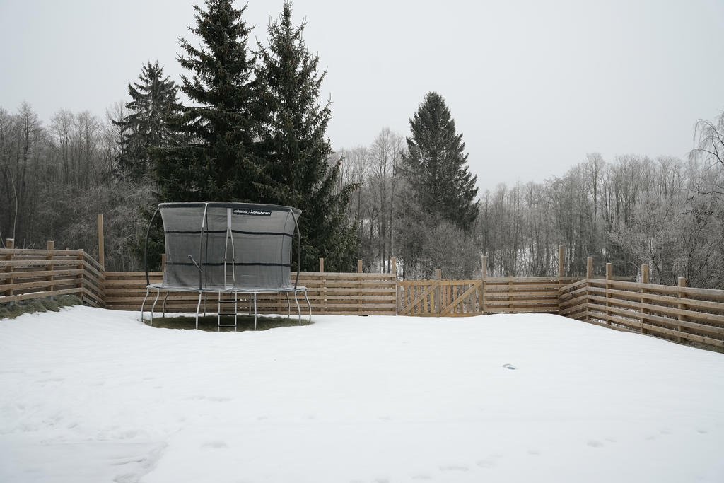 Trädgård 