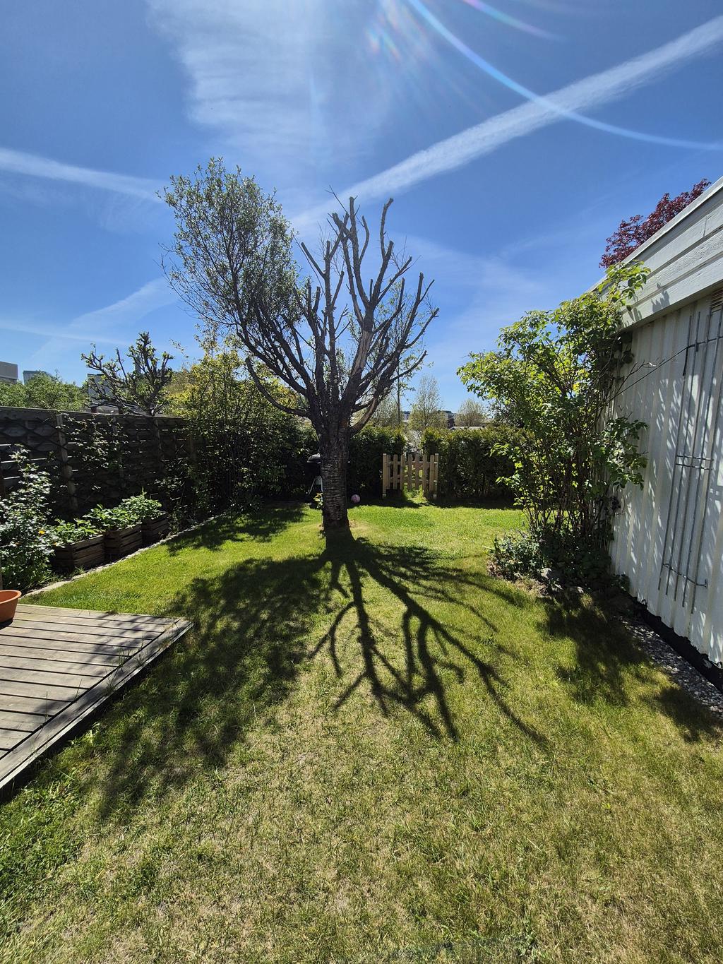 Säljarens egna bild
