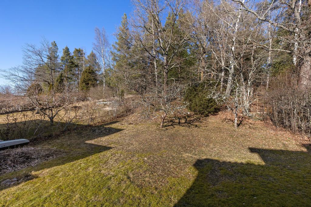 Trädgård mot skogsbacken