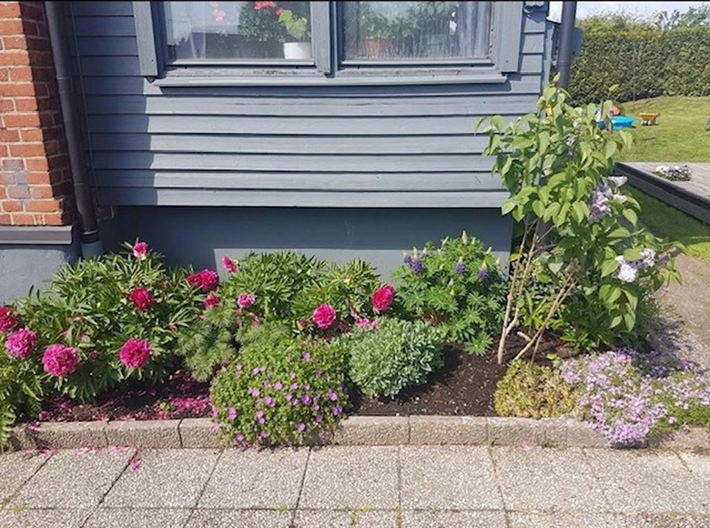 Säljarens bild