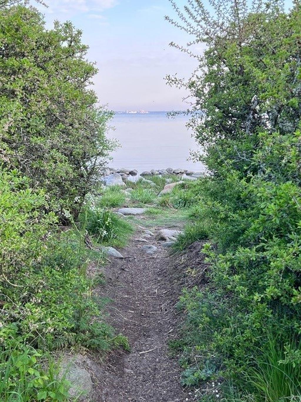 Gångstig ner till havet
