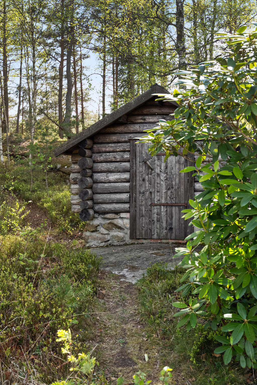 Blockhus med kallförråd