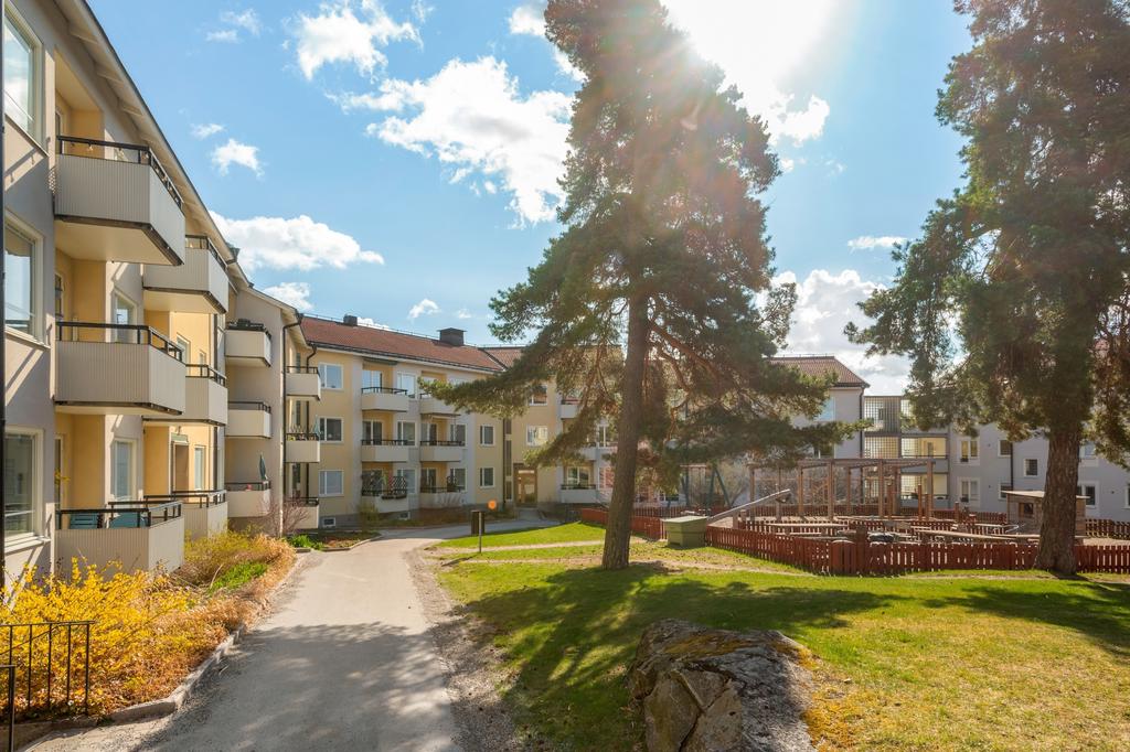 Mysig innergård i lägenhetens direkt närområde