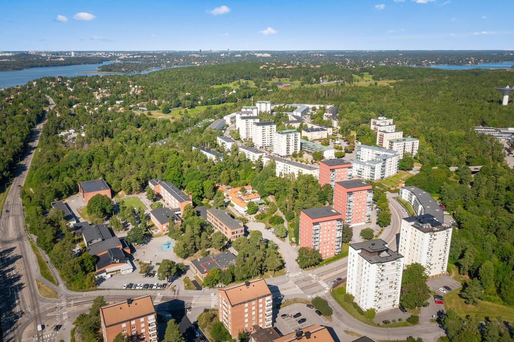 Näset från ovan