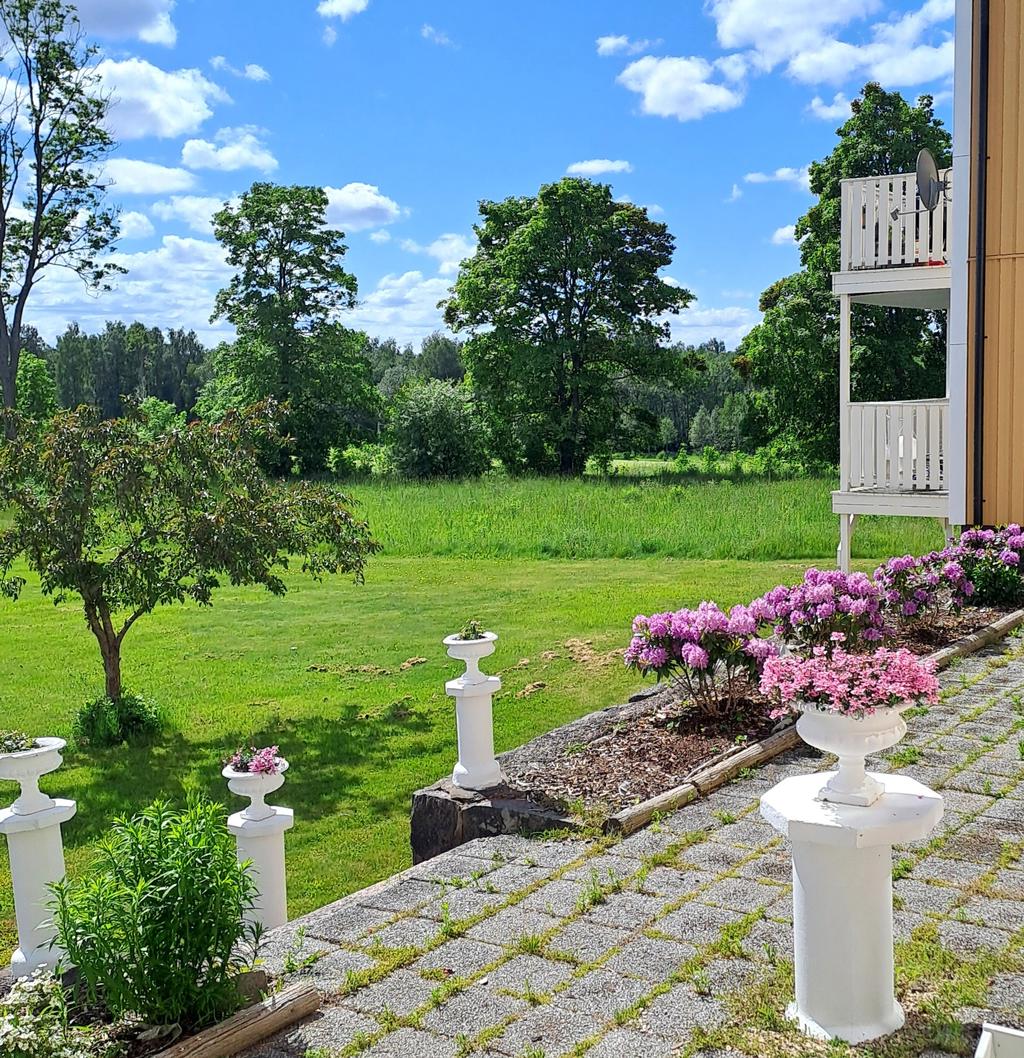 Fina planteringar i trädgården.