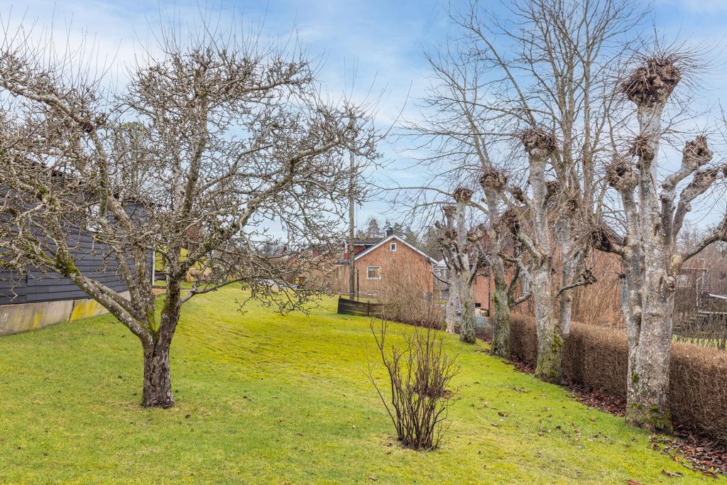 Trädgård med gott om plats för lek och odling