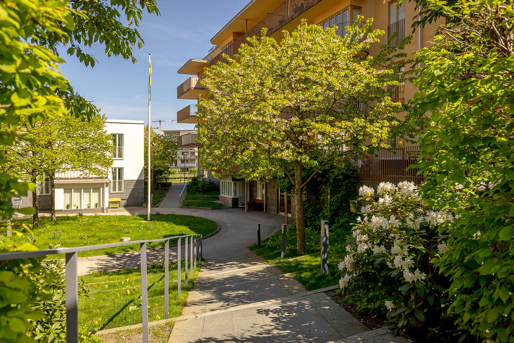 Föreningens gård