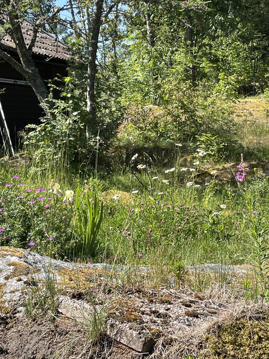 Den lättskötta naturtomten kombinerar öppna gräsytor, vackra berg i dager och små odlingsplatser för den som vill ha färska kryddor eller blommor på sommarbordet.