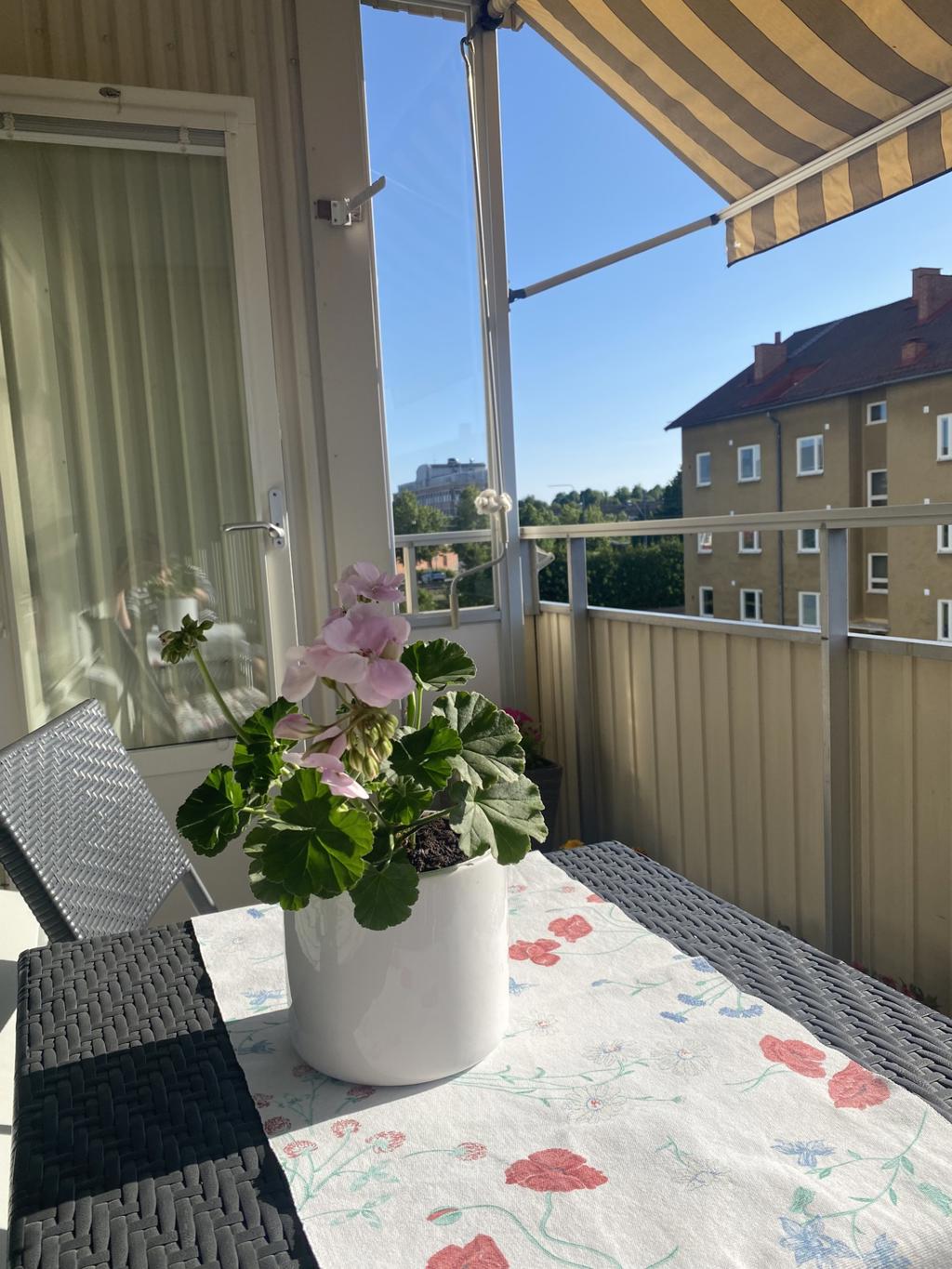 Säljarens egna bilder