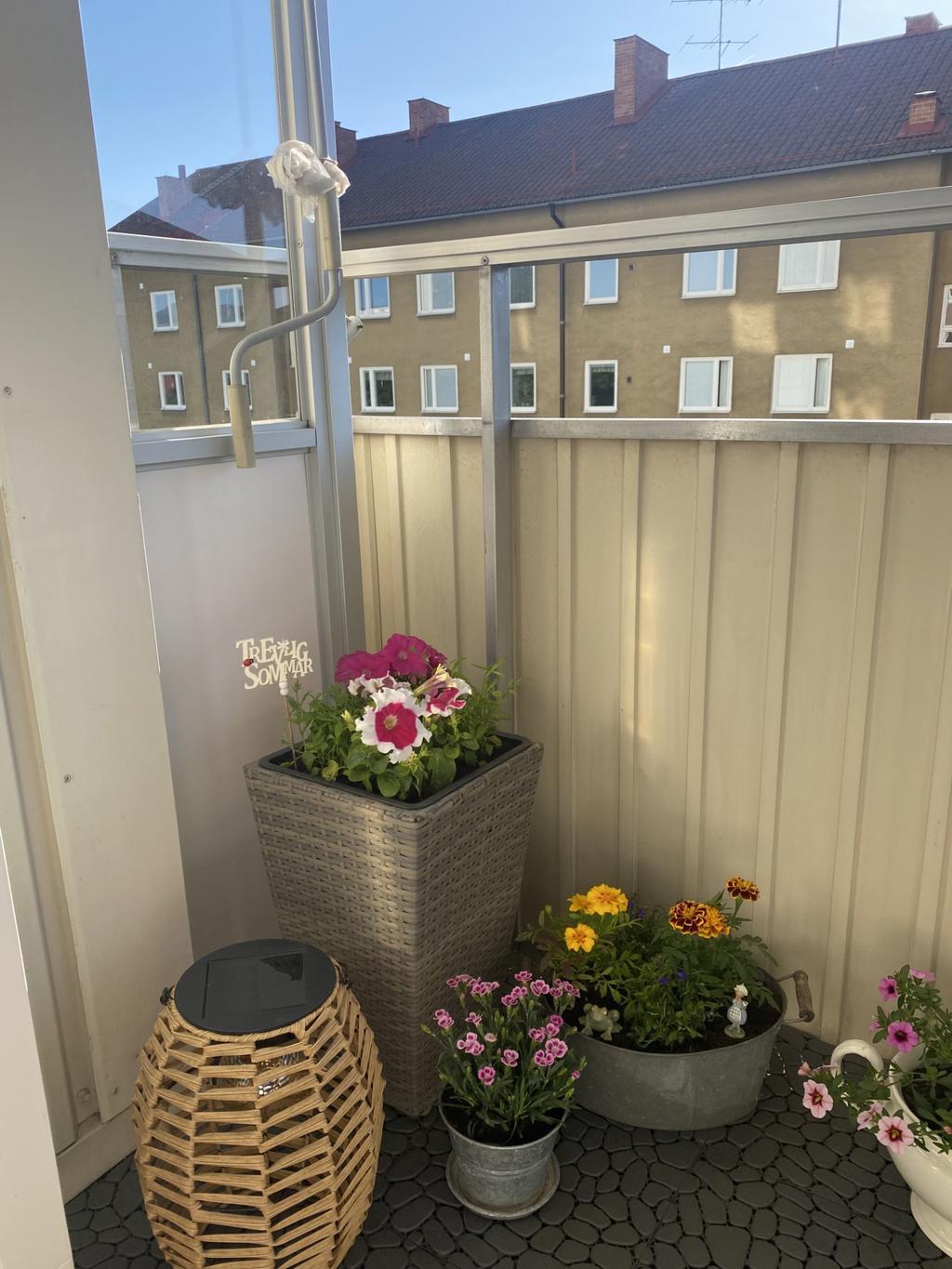 Säljarens egna bilder