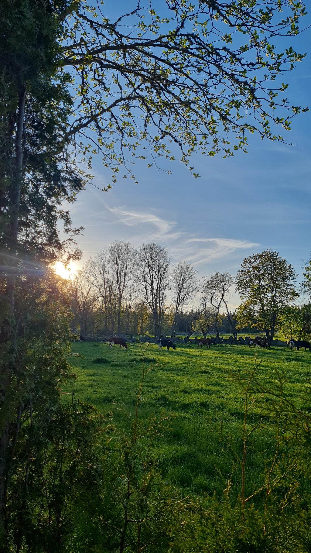 Säljarens bild från omgivningar