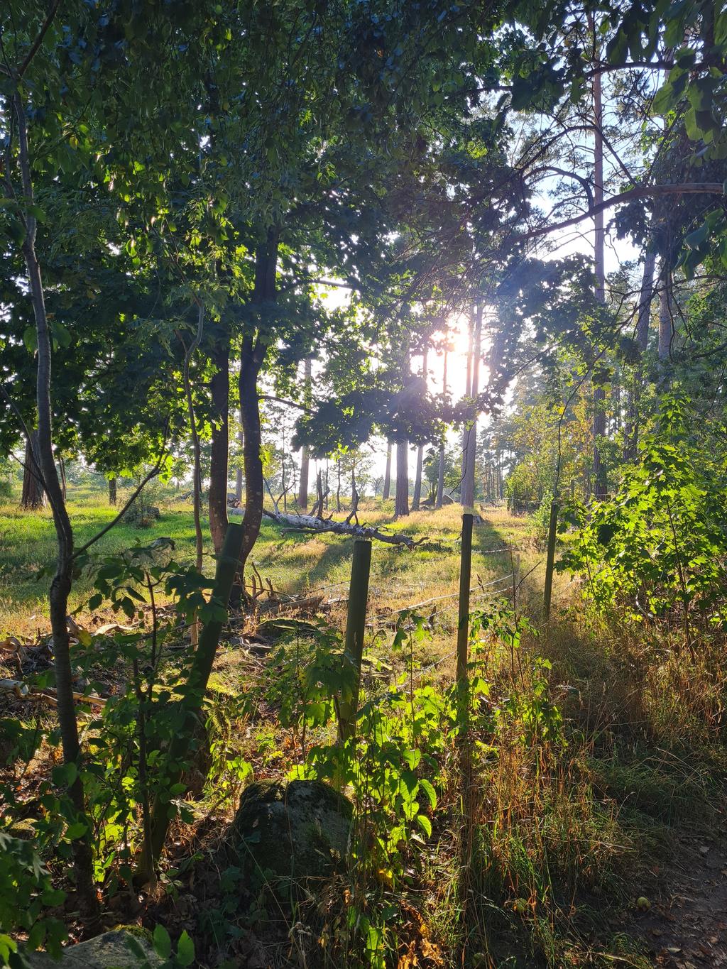 Säljarens bild från omgivningar