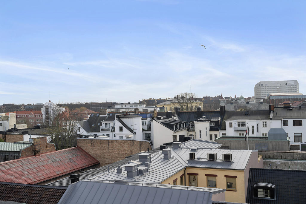 Milsvid utsikt över stad och takåsar.