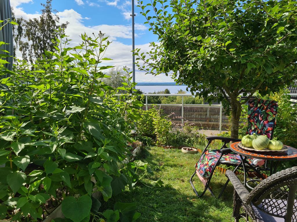 Säljarens bild på grönskande trädgård