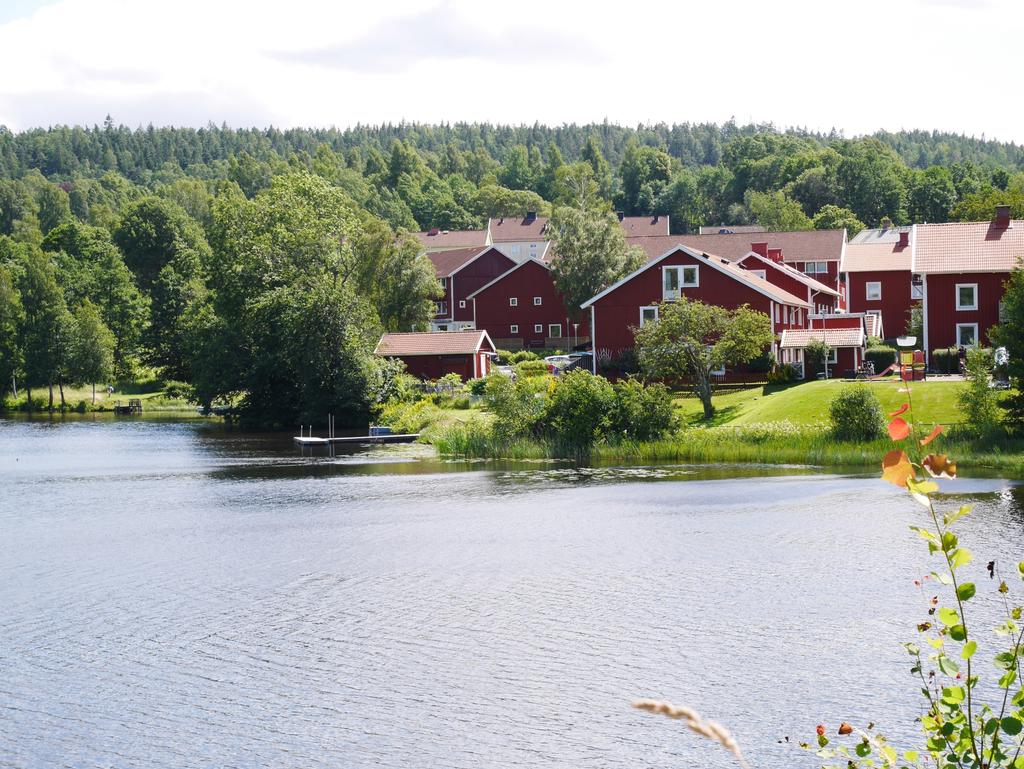 Vy över området