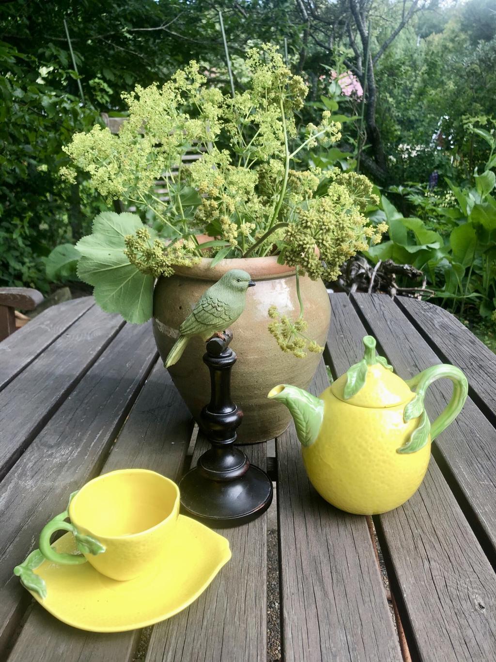 Kaffepaus i trädgården