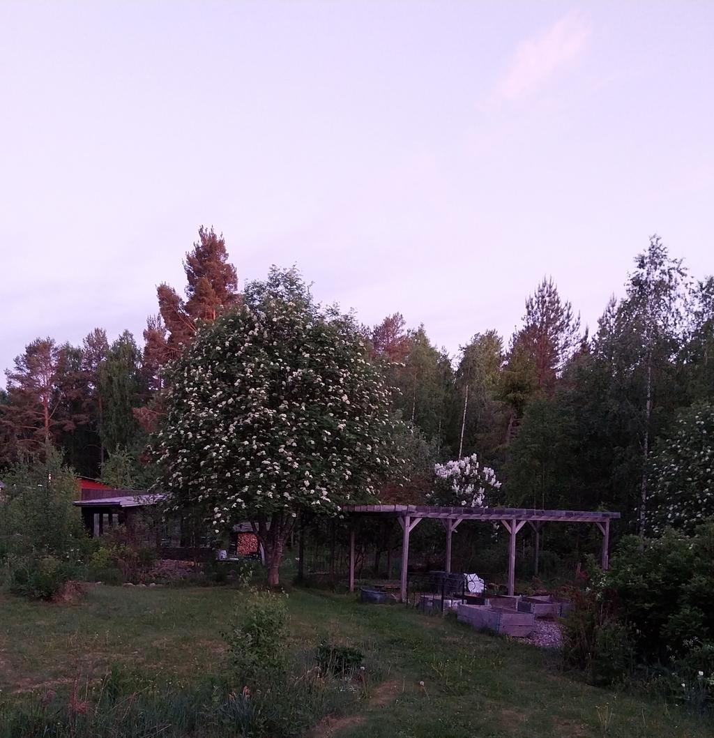 Säljarens bild