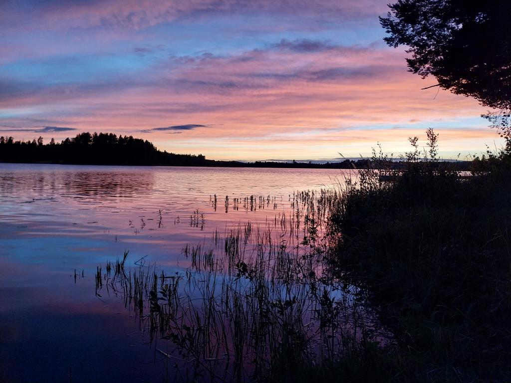 Säljarens bild