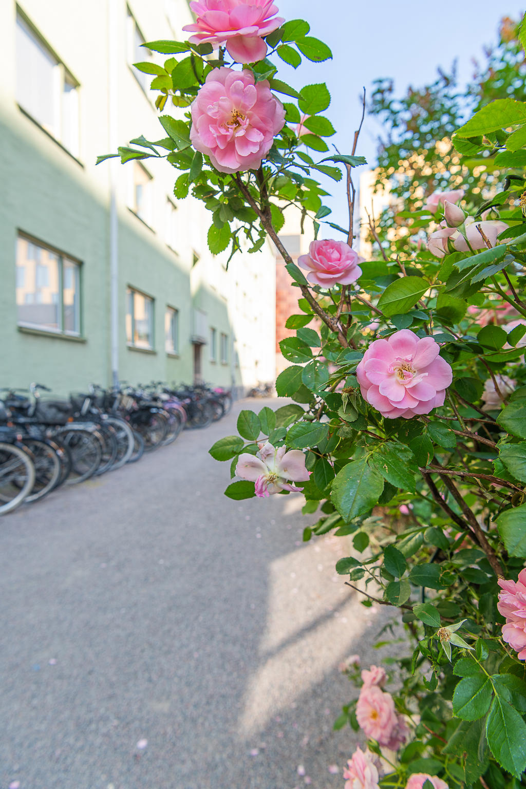 Detaljbild från innergård.