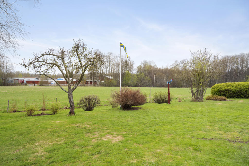Vyn från den inglasade altanen. 