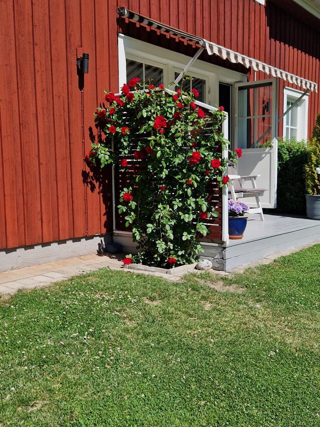 Säljarens egna bilder.