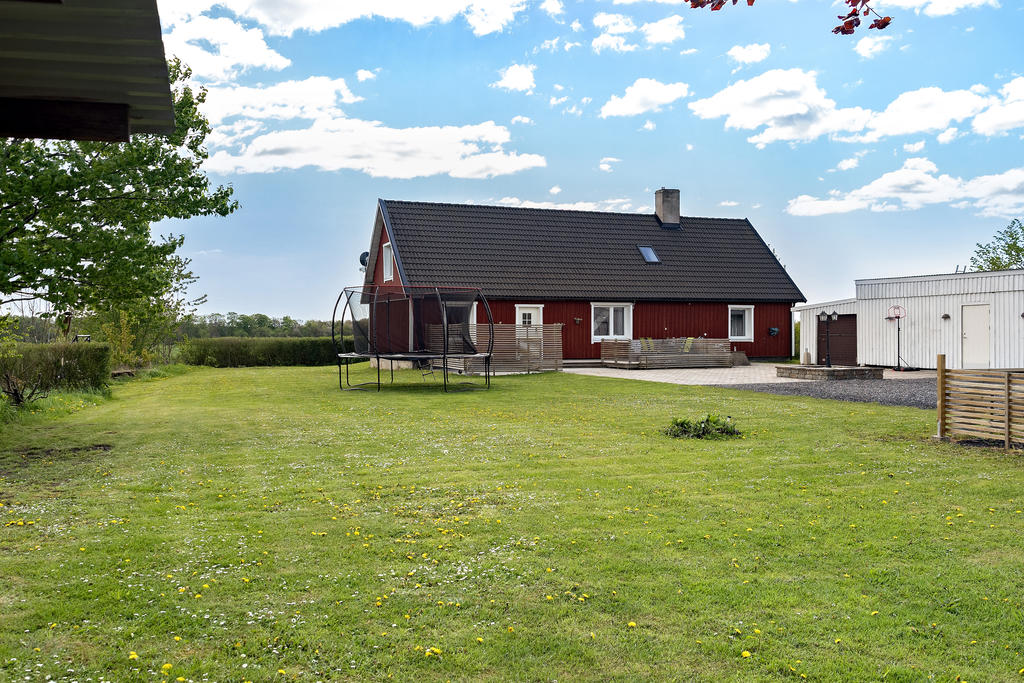 Trädgård