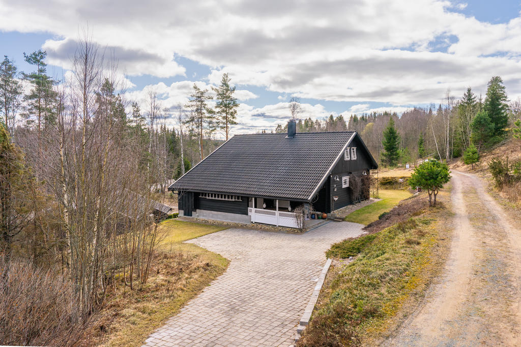 Entré- Stenlagd uppfart.