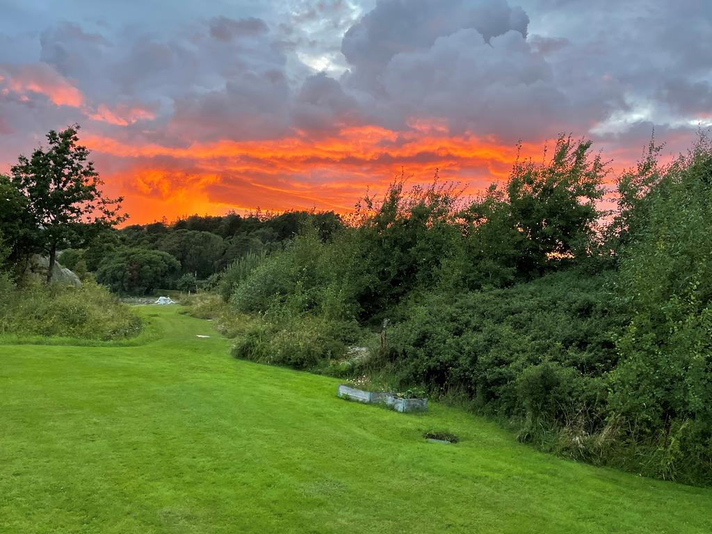 Säljarens bild