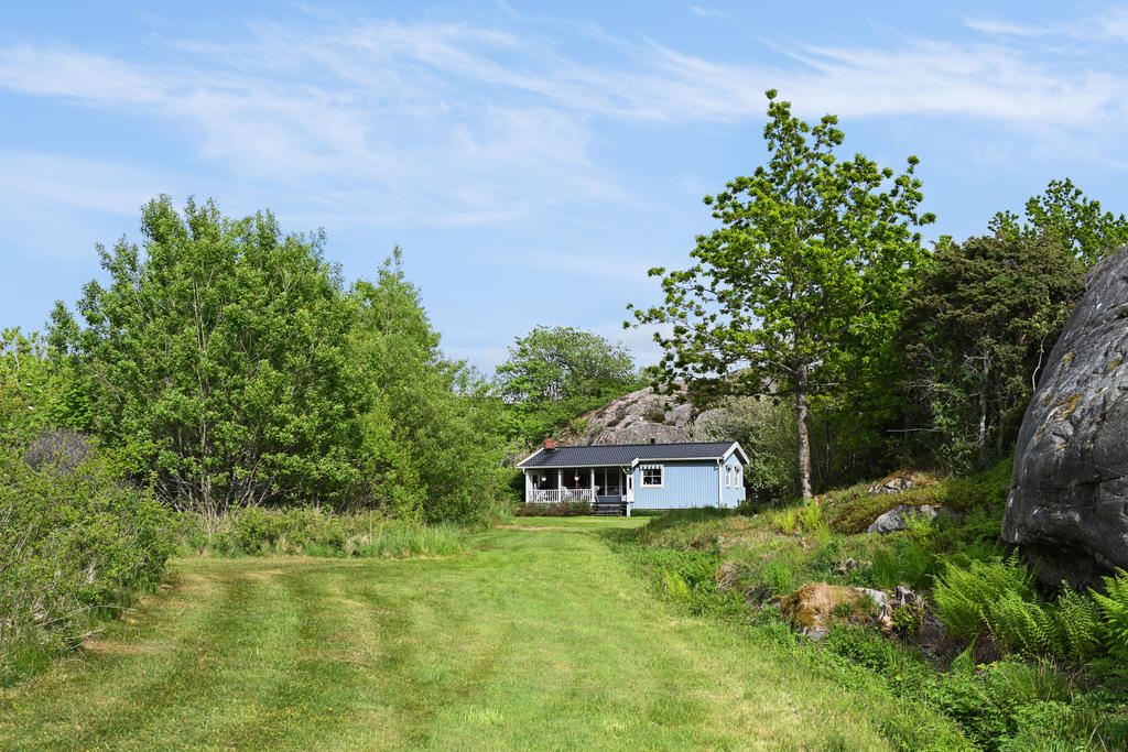 Säljarens bild