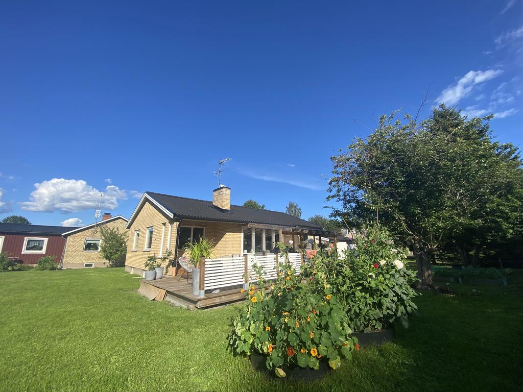 Säljarens sommarbild