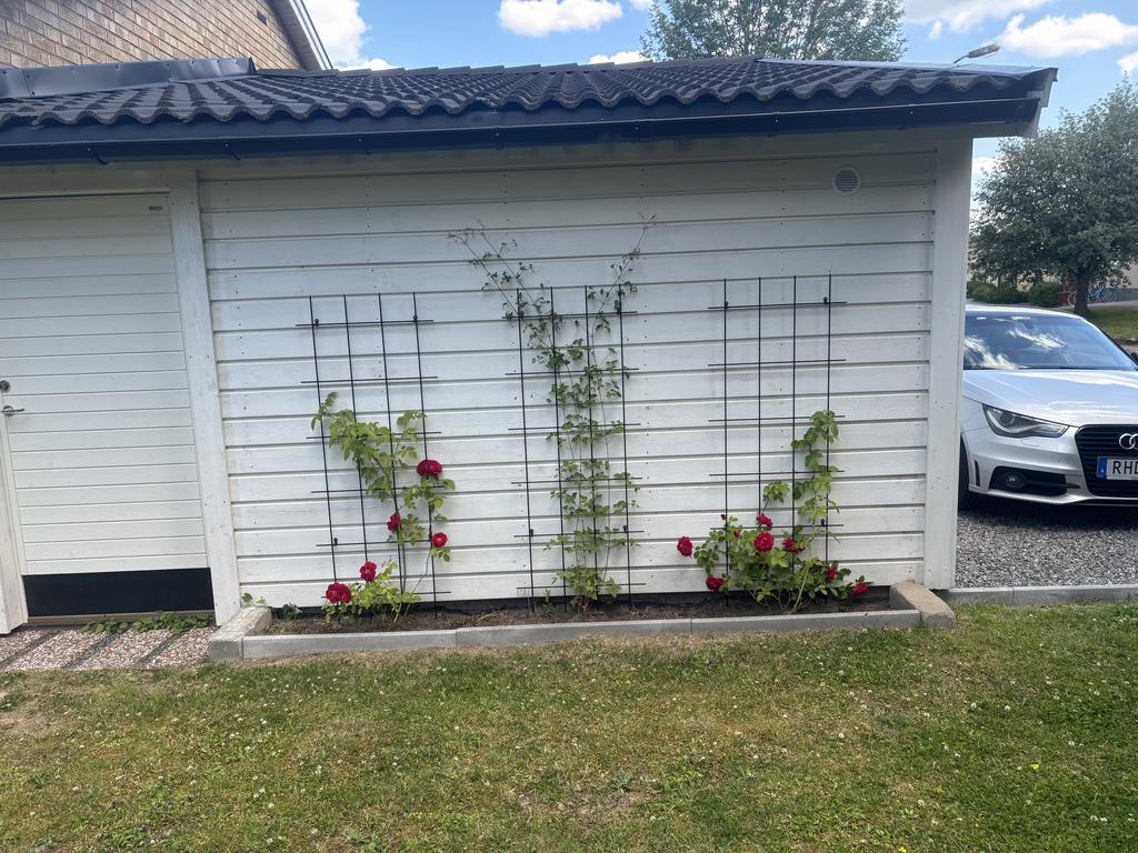 Säljarens sommarbild