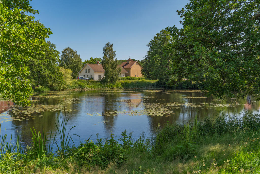 Idylliska Nävekvarnsdammen i närheten