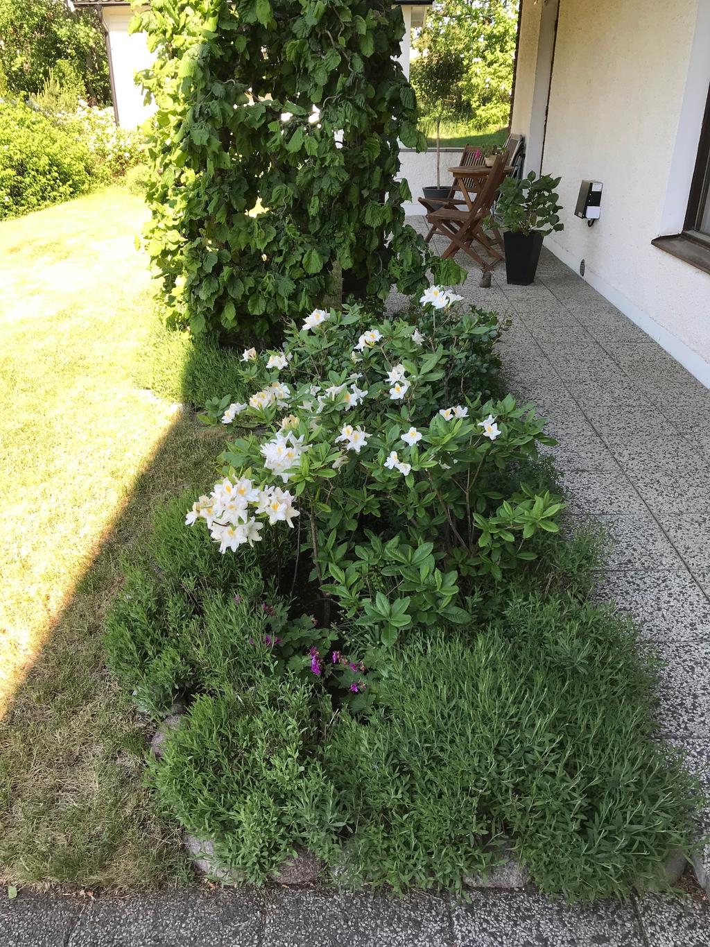 Säljarens egna  sommarbilder 