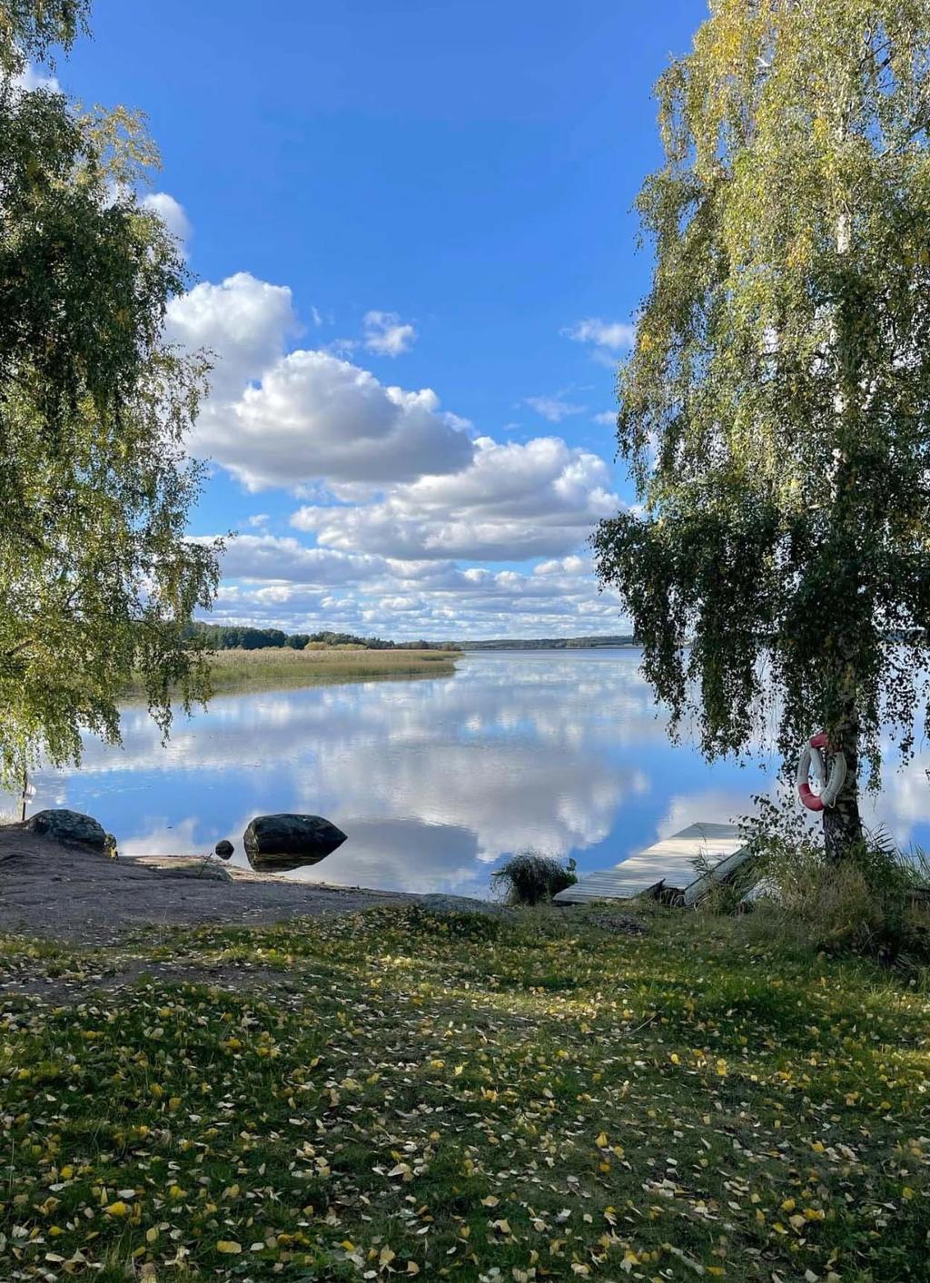 Säljarens bilder på stranden 