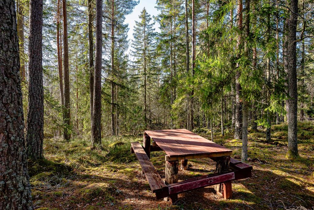 Platsbyggt naturbord i svackan mot närmsta granne