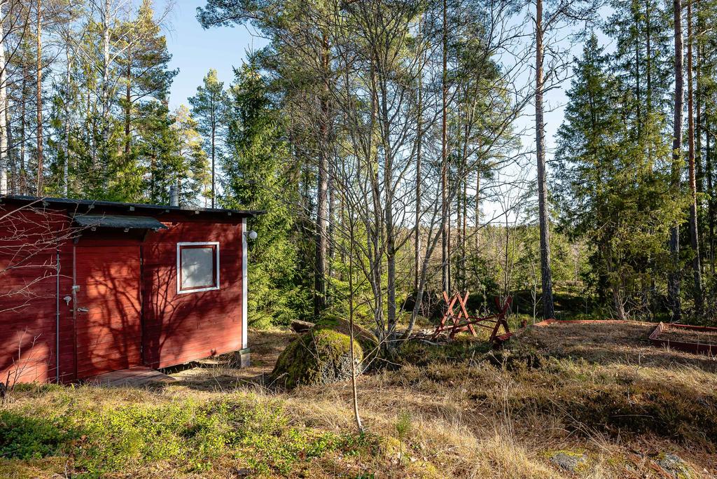 Skogen precis invid huset