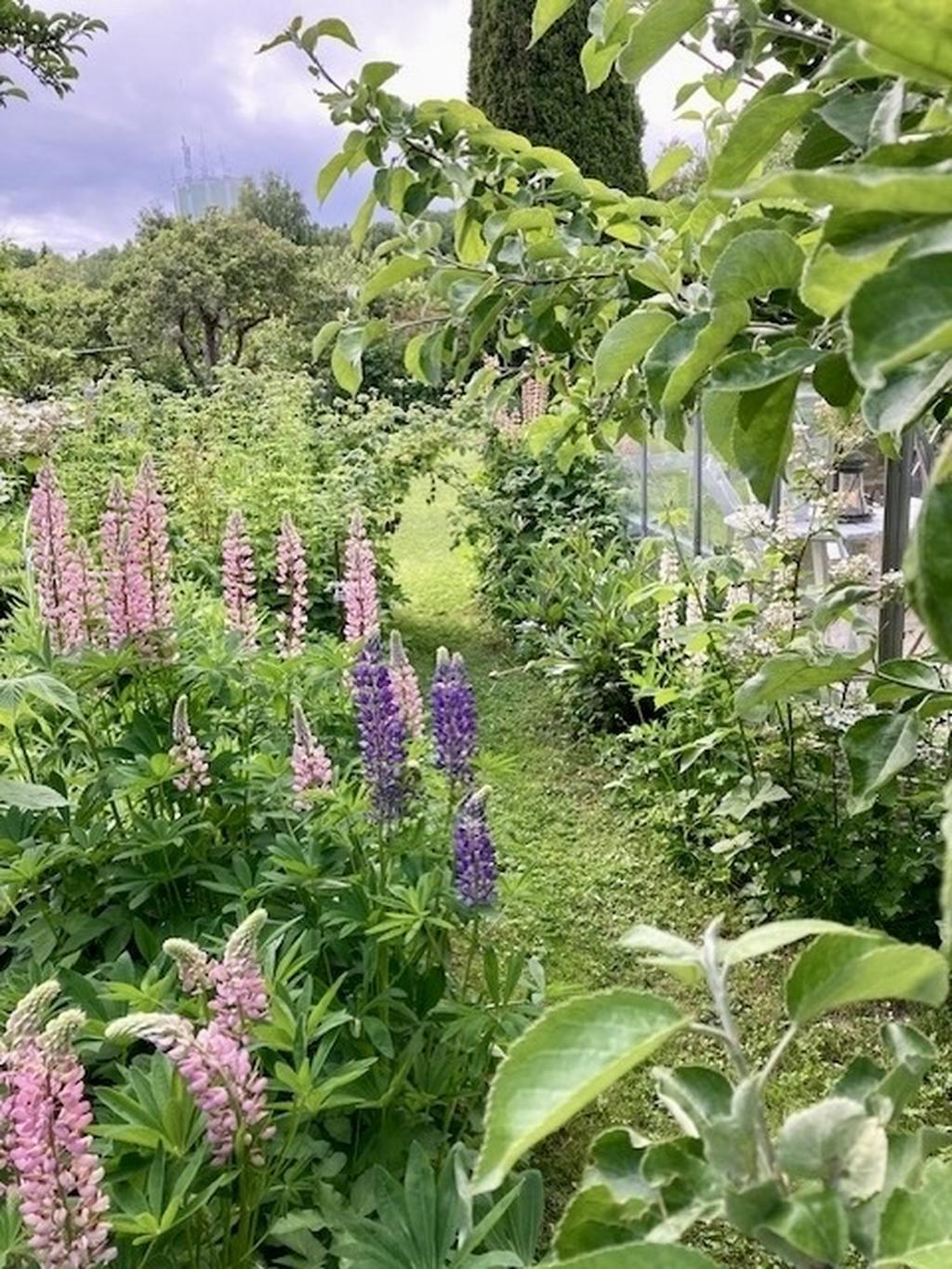 Säljarnas sommarbild