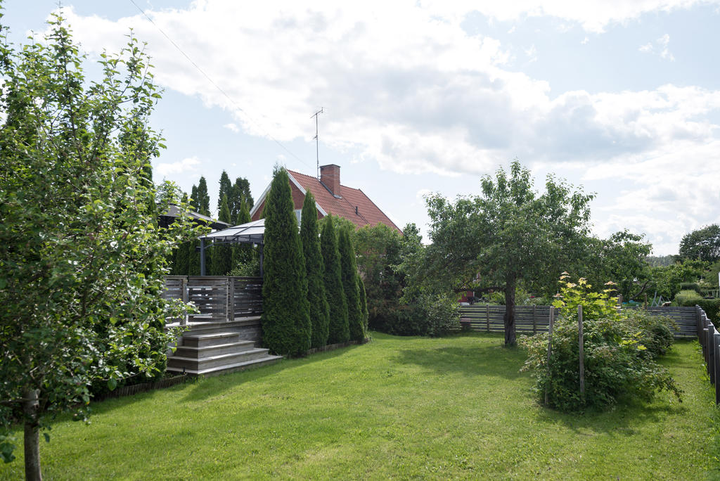 Del av trädgård.